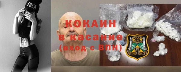 индика Армянск