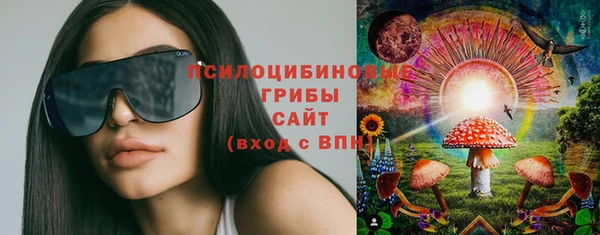 индика Армянск