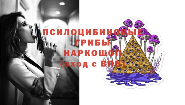 гидропоника Арсеньев