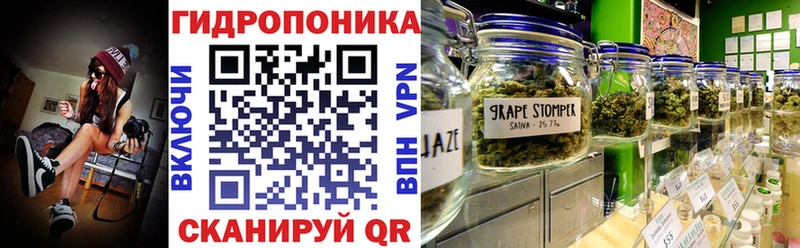 Каннабис конопля даркнет сайт Пустошка